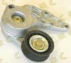 AUTOKIT 03.81019 Tensioner Lever, v-ribbed belt